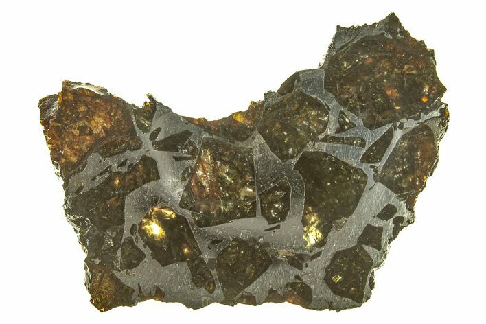 Polished Admire Pallasite Meteorite ( g) Slice - Kansas #261221